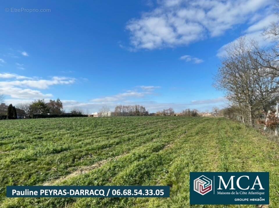 Photo Terrain à Pomarez au prix de 60 500€