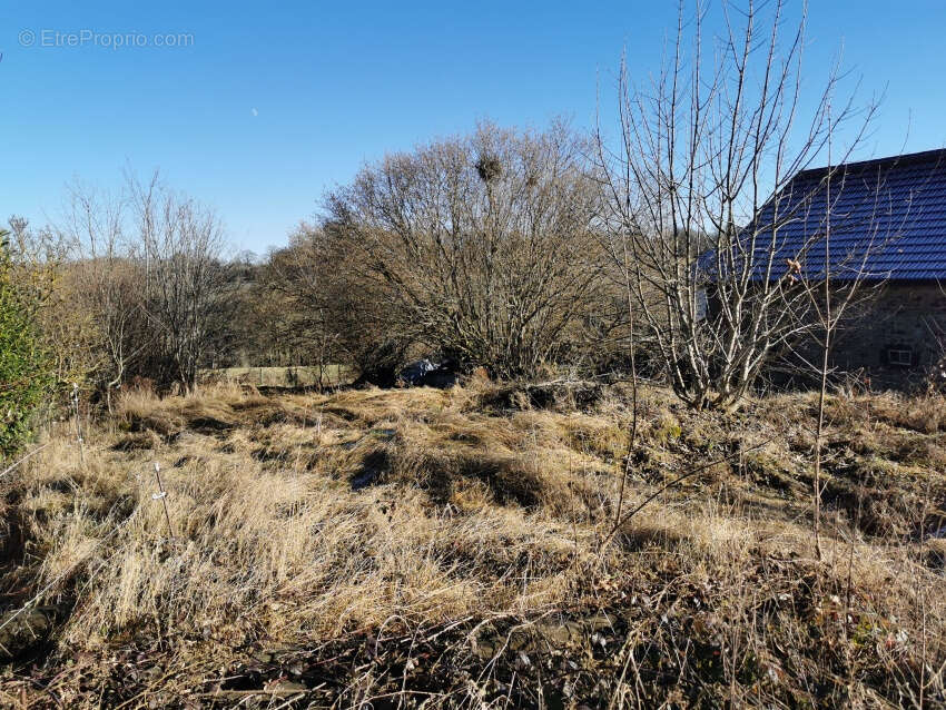 Terrain à LES ANCIZES-COMPS
