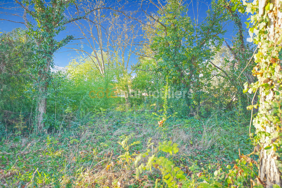 Terrain à GAILLAC