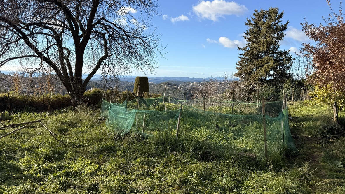 Terrain à SAINT-JEANNET