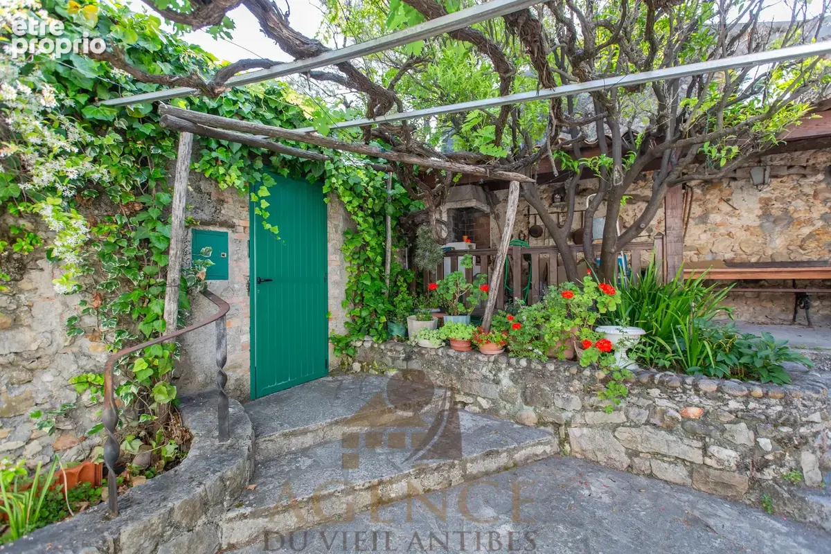 Antibes Suquette Maison avec terrain 2100m2– Authentique propriété en pierre – Environnement privilégié – Fort potentiel – Pisci - photo 6
