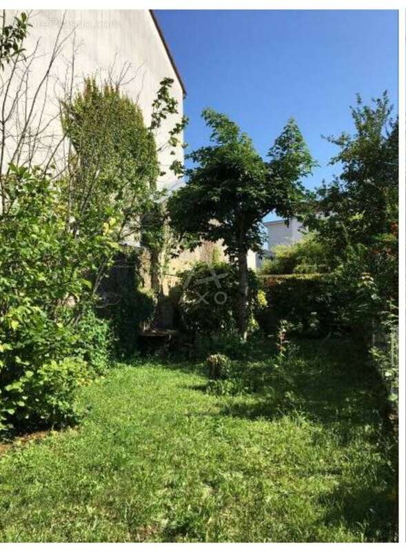 Commerce à ANGOULEME