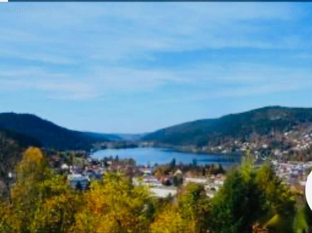 Commerce 546 m² à Gerardmer  - photo 3