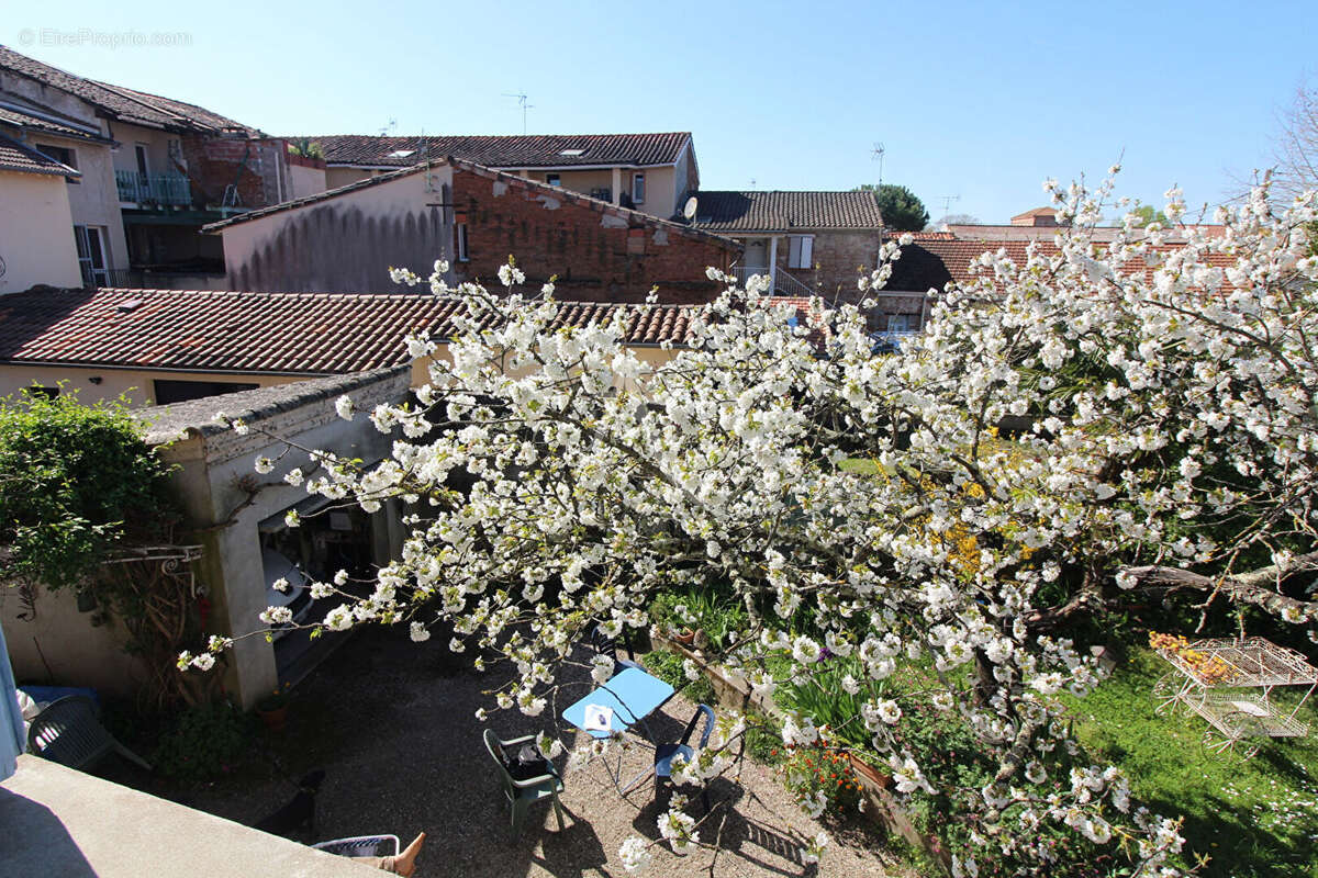 Maison à MONTAUBAN