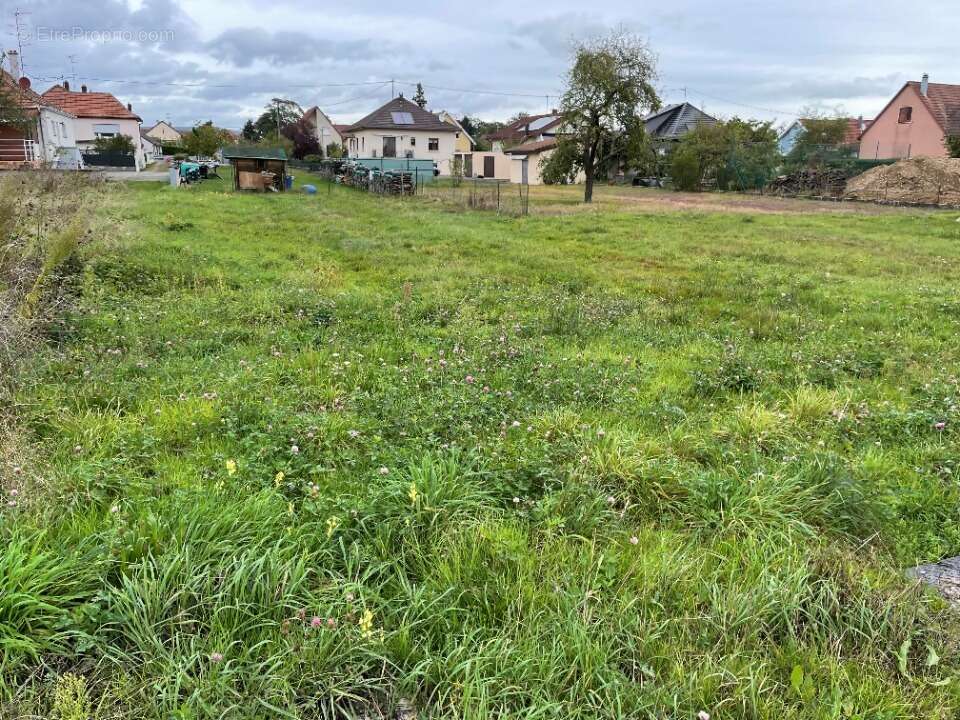 Terrain 397 m² à Issenheim  - photo 3