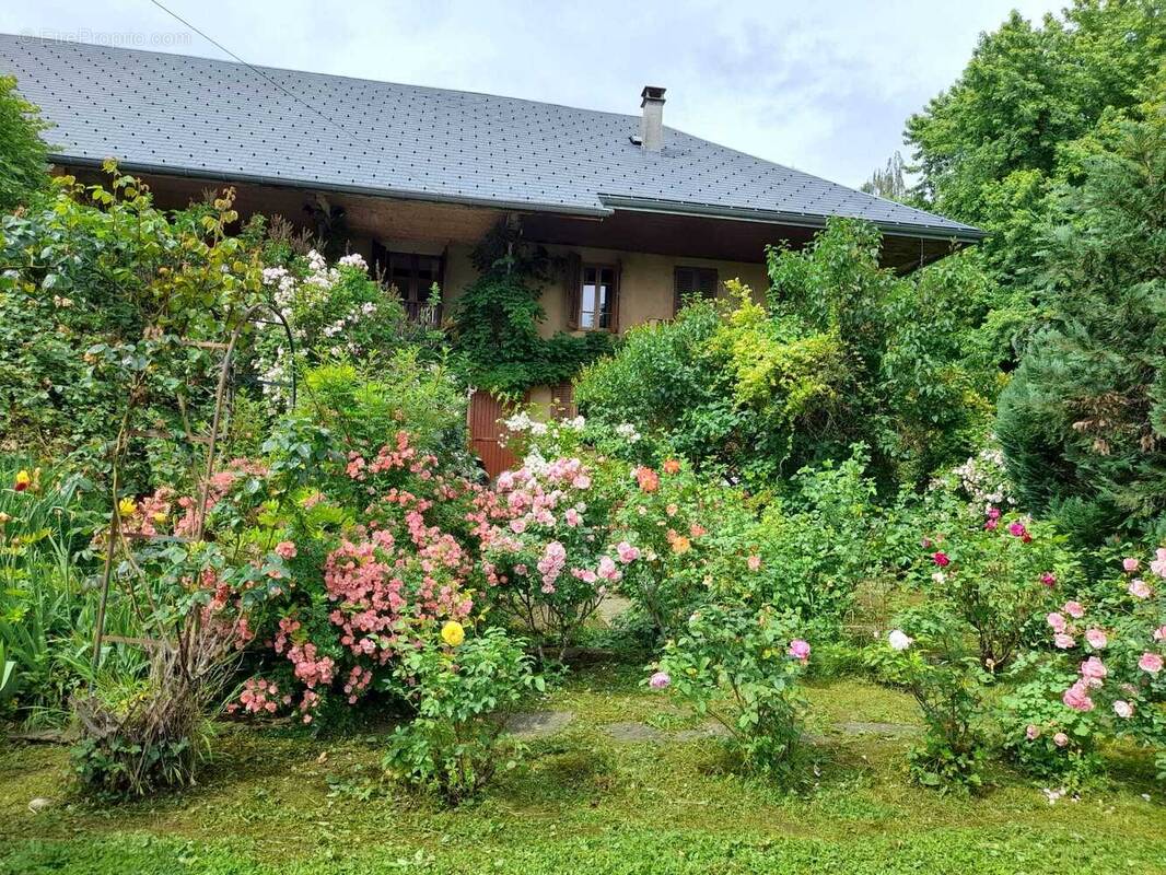 Maison à SAINT-PIERRE-D&#039;ALBIGNY