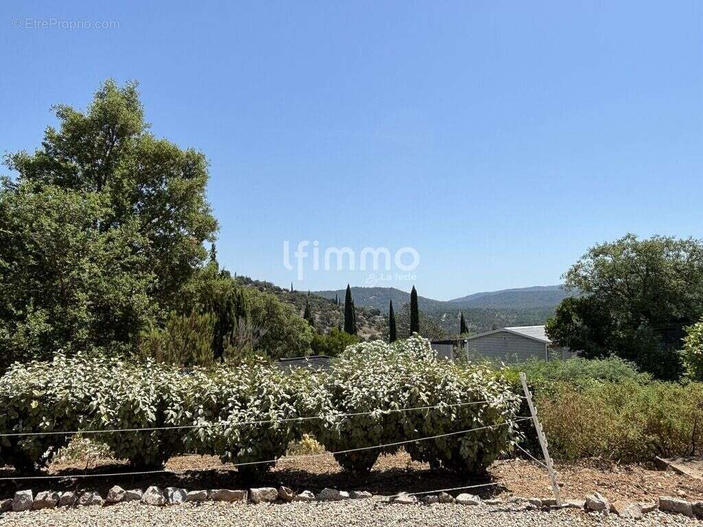 Maison de vacances 49 m2 environ - photo 10