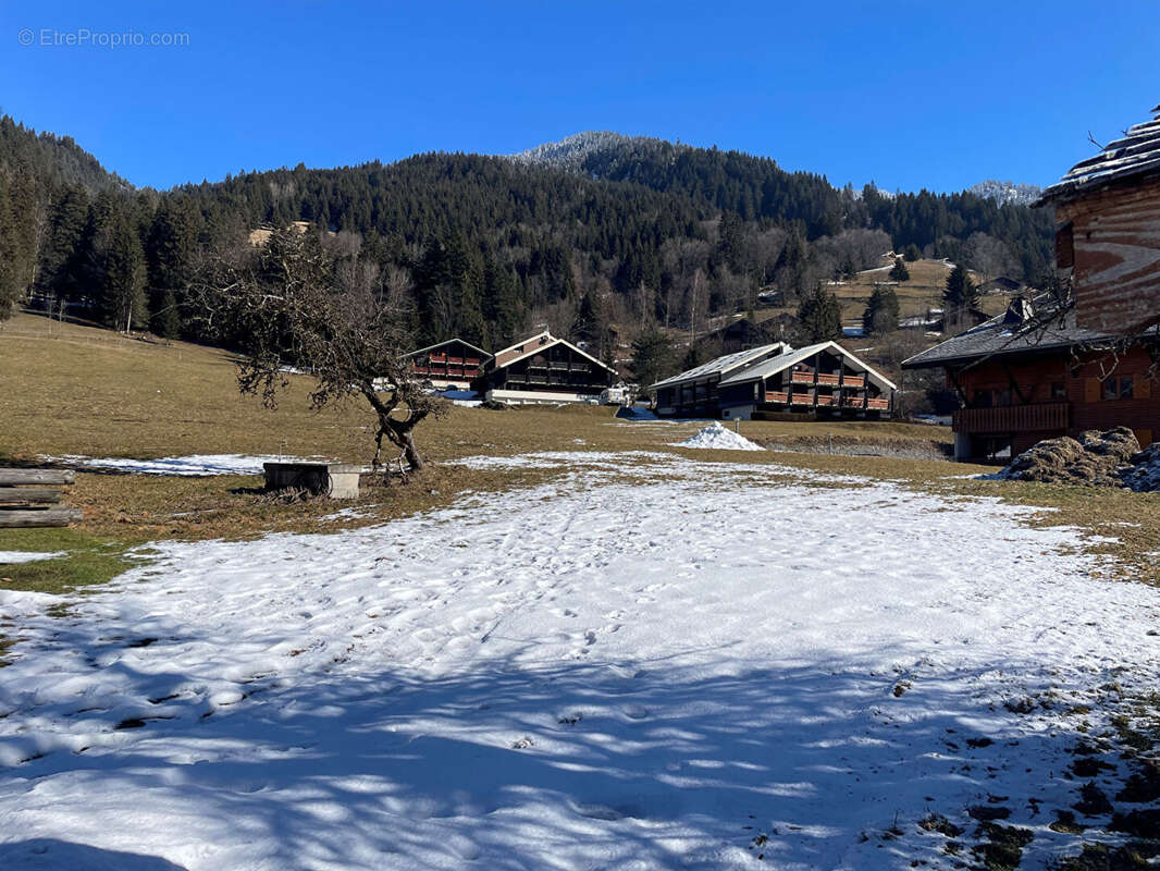 Terrain à LA CHAPELLE-D'ABONDANCE