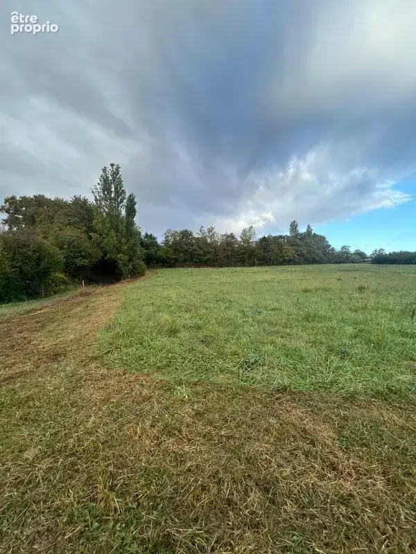 Terrain À Vendre - photo 4