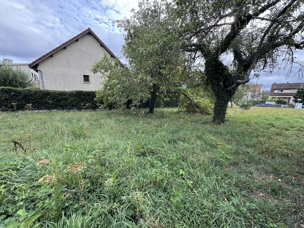 Terrain à SAINTRY-SUR-SEINE