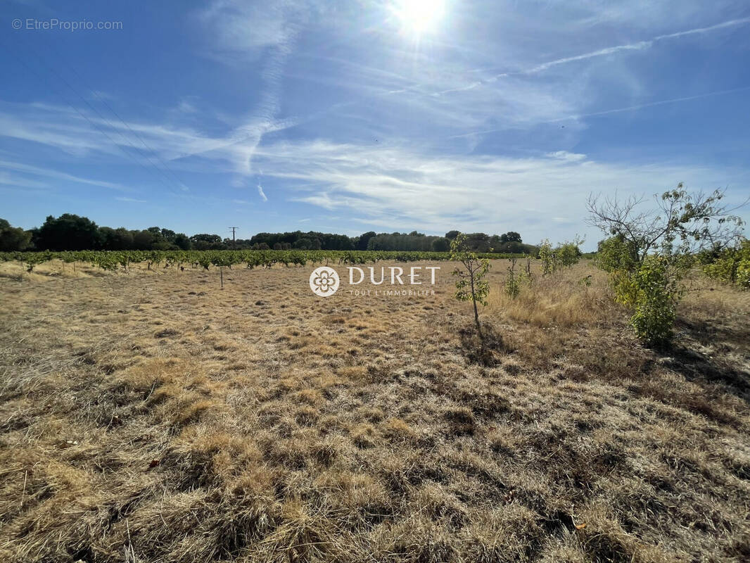 Terrain à MAISDON-SUR-SEVRE