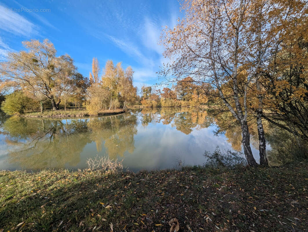 Terrain à LE CHATELET