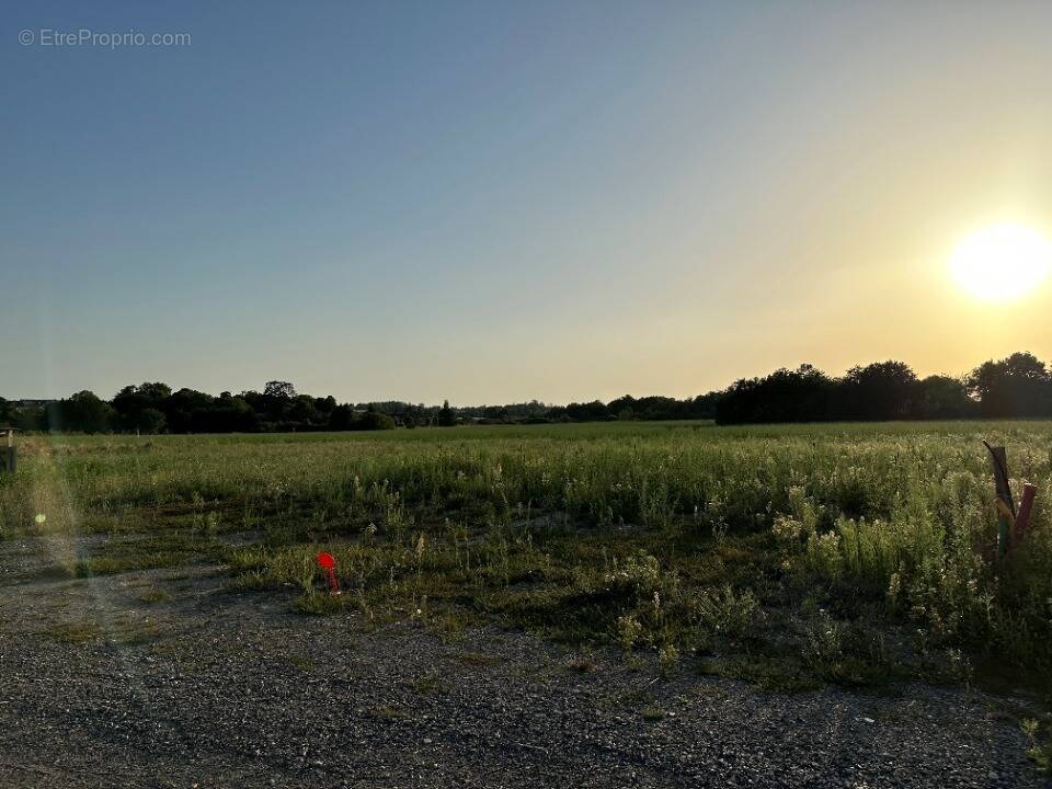 Terrain à CHANCEAUX-SUR-CHOISILLE
