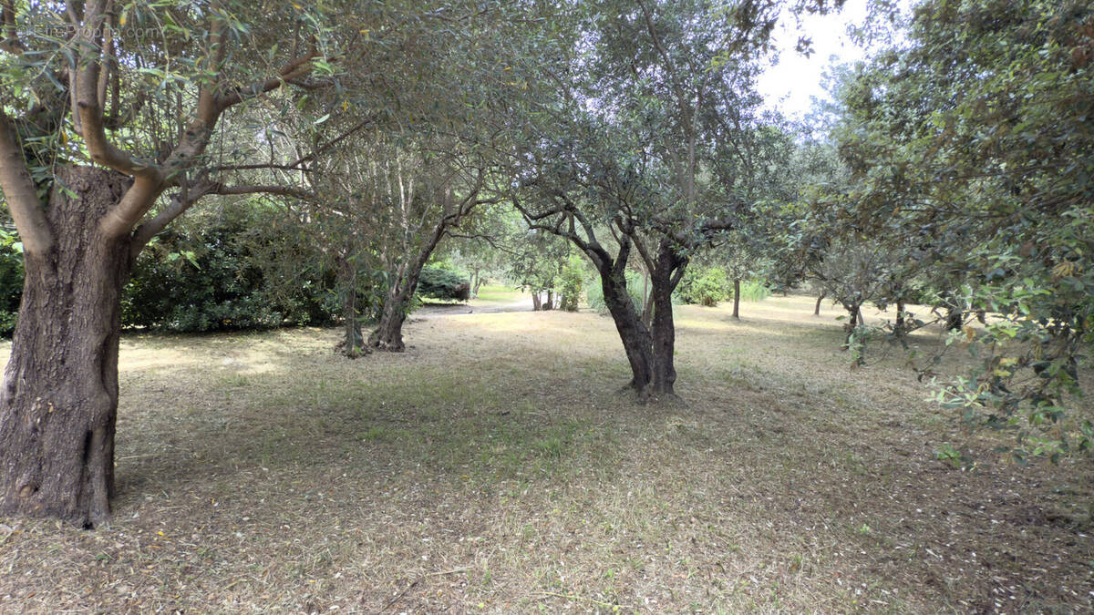 Terrain à DRAGUIGNAN