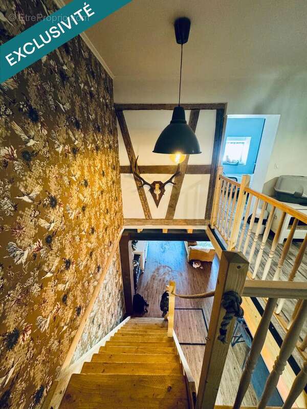 Photo 3 - Maison à MITTERSHEIM