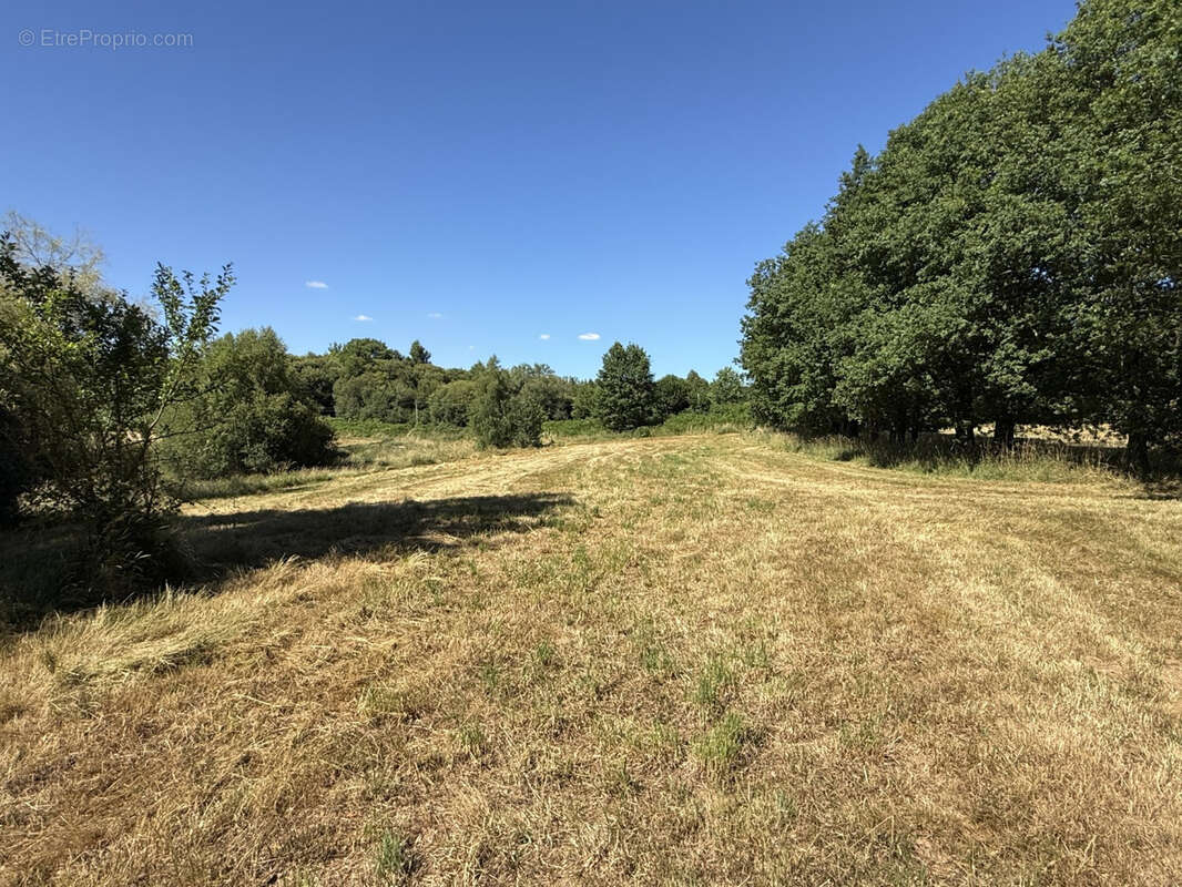 Terrain à BEYSSENAC