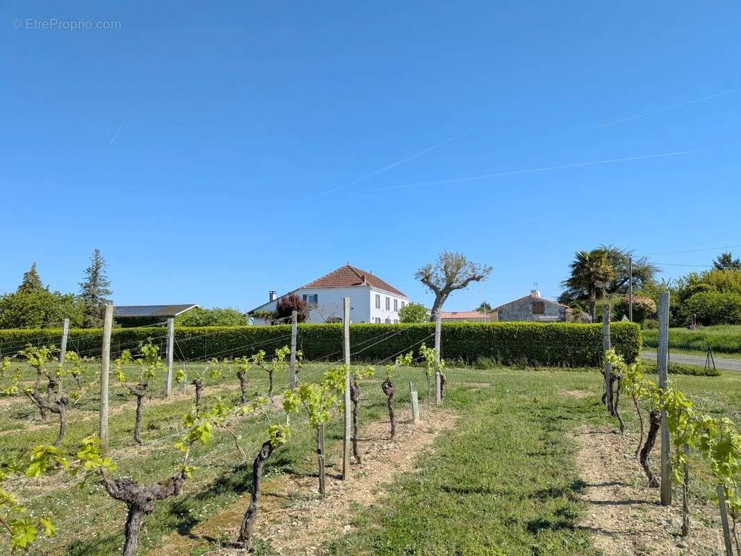 Maison à SAINT-GREGOIRE-D'ARDENNES