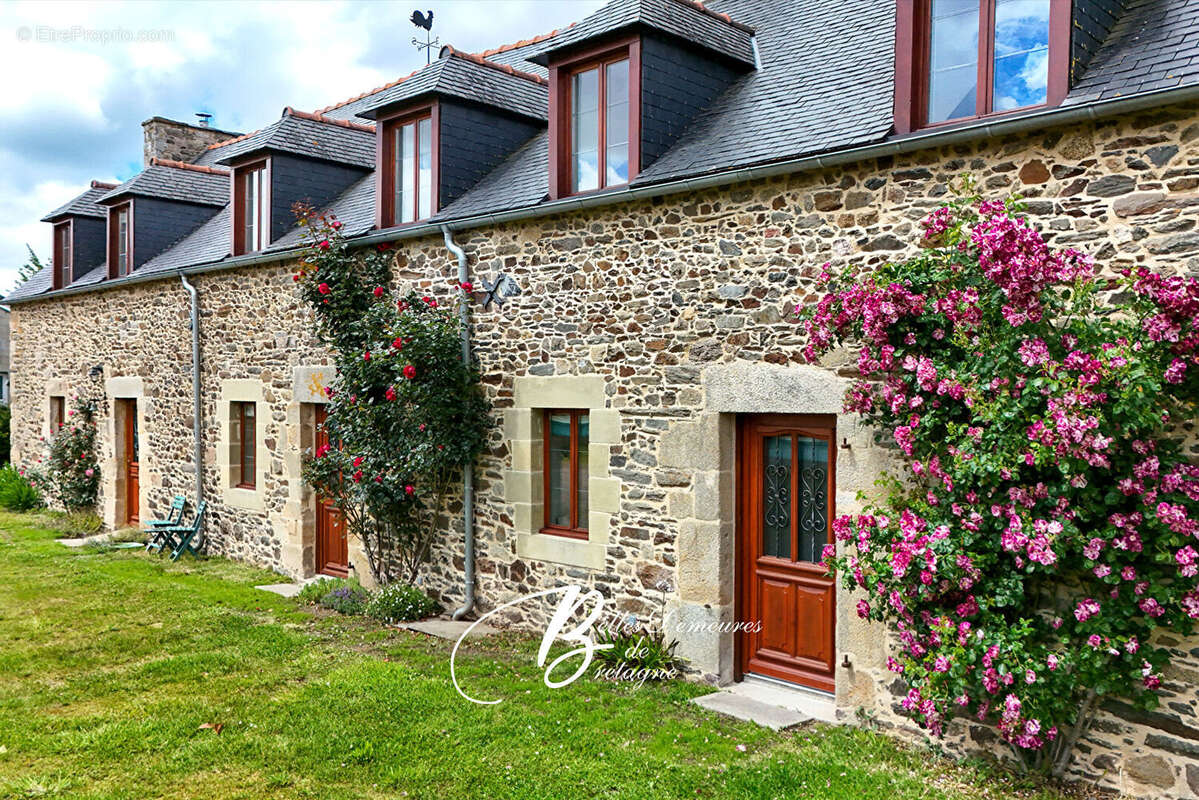 Maison à RUCA