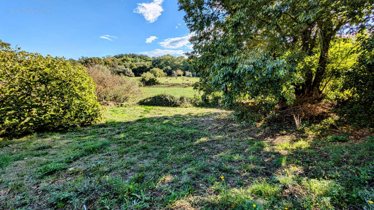 Maison à LAROQUE-DES-ALBERES