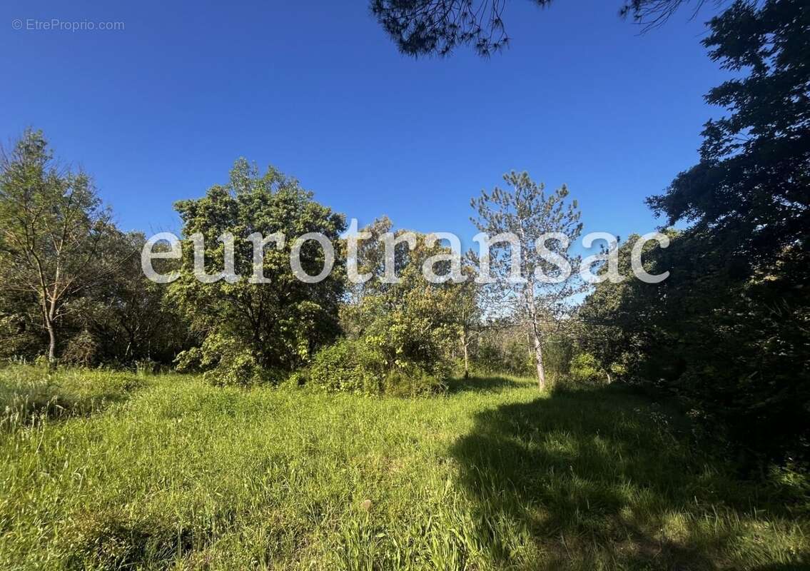 Terrain à SAINT-PARGOIRE