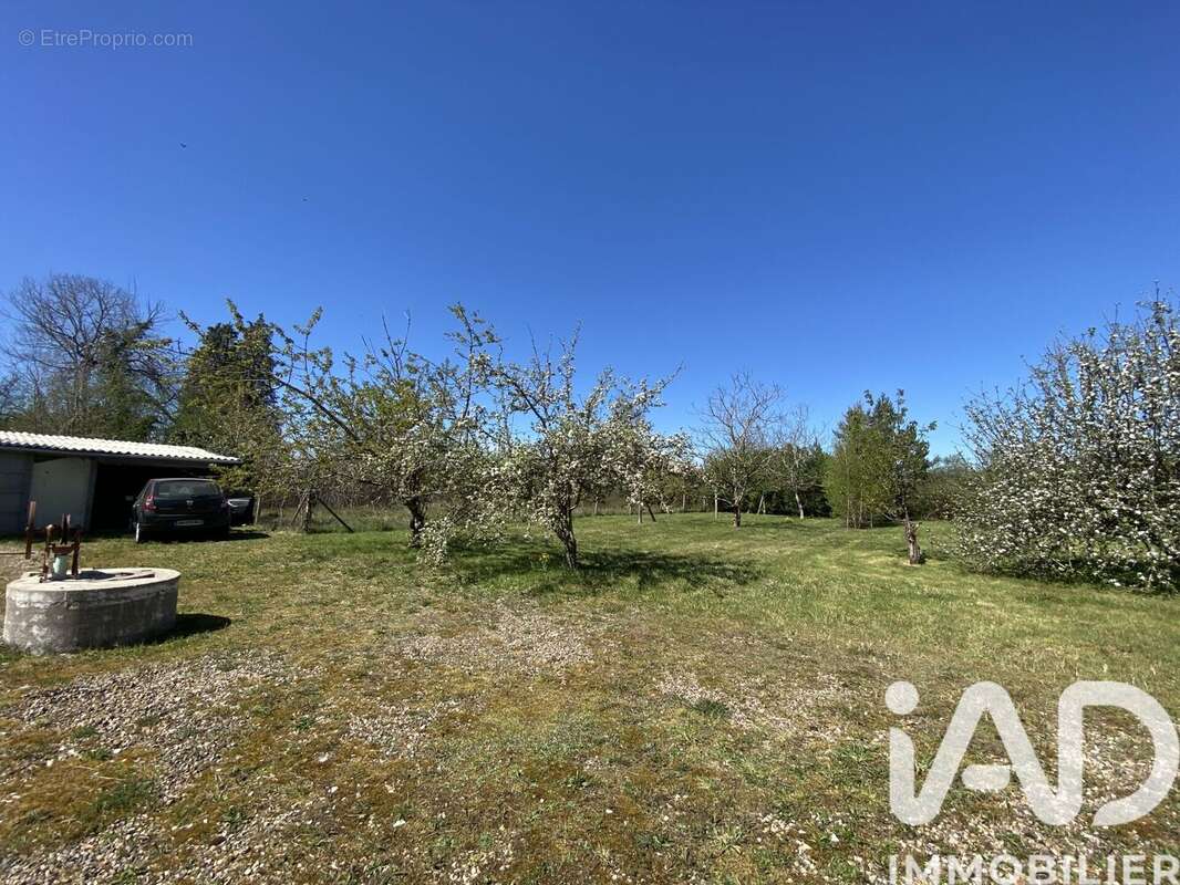 Maison 75 m² à Les Choux  - photo 6