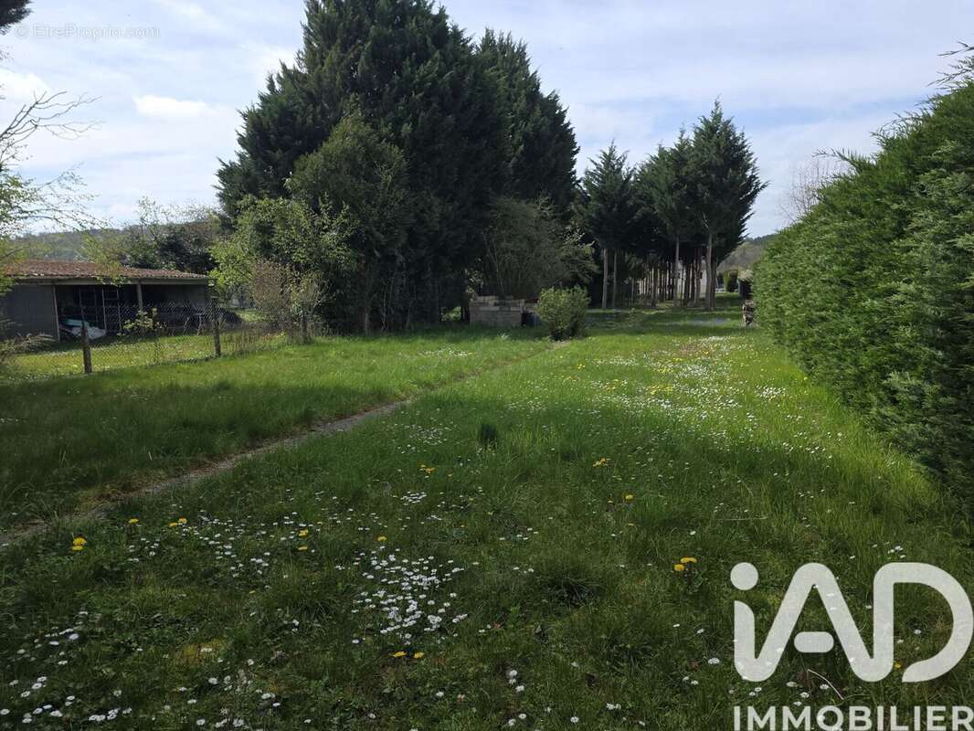 Photo 6 - Maison à VILLENEUVE-SUR-YONNE