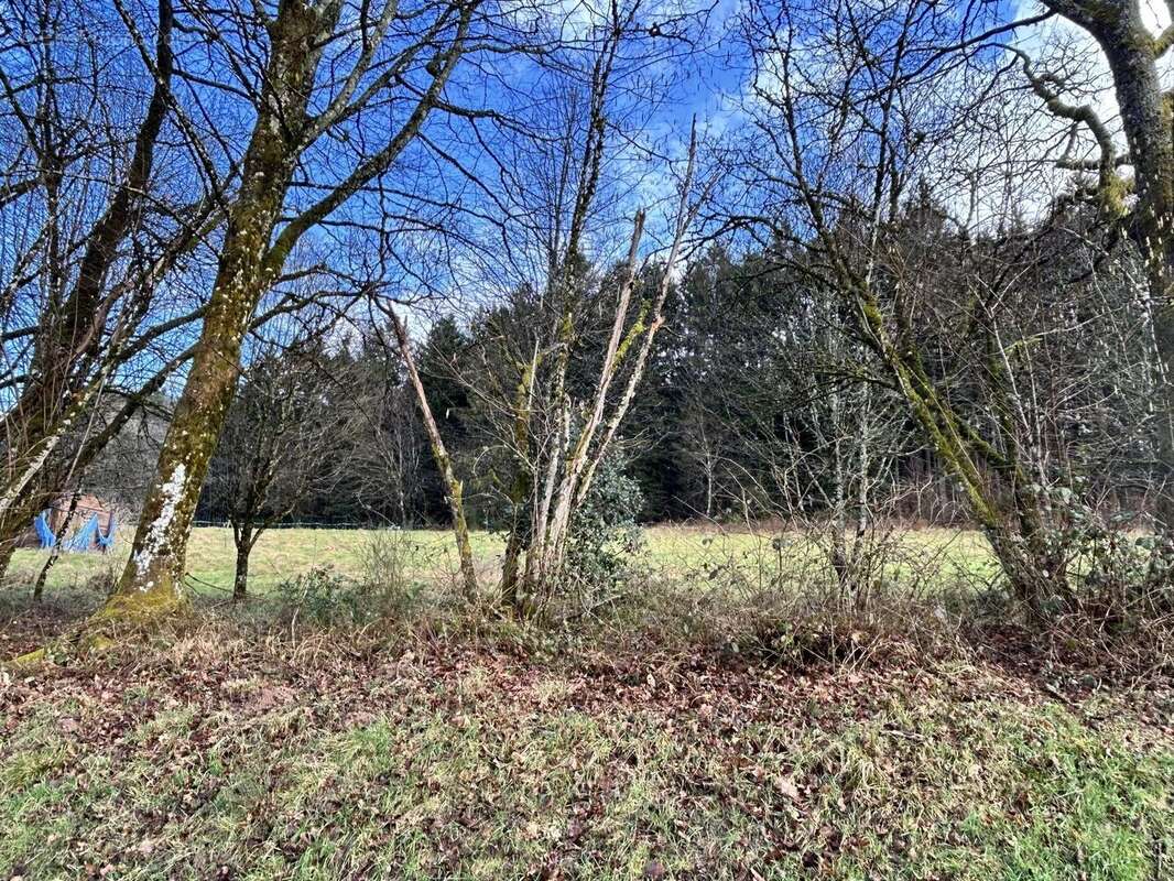 Terrain à MOYENMOUTIER