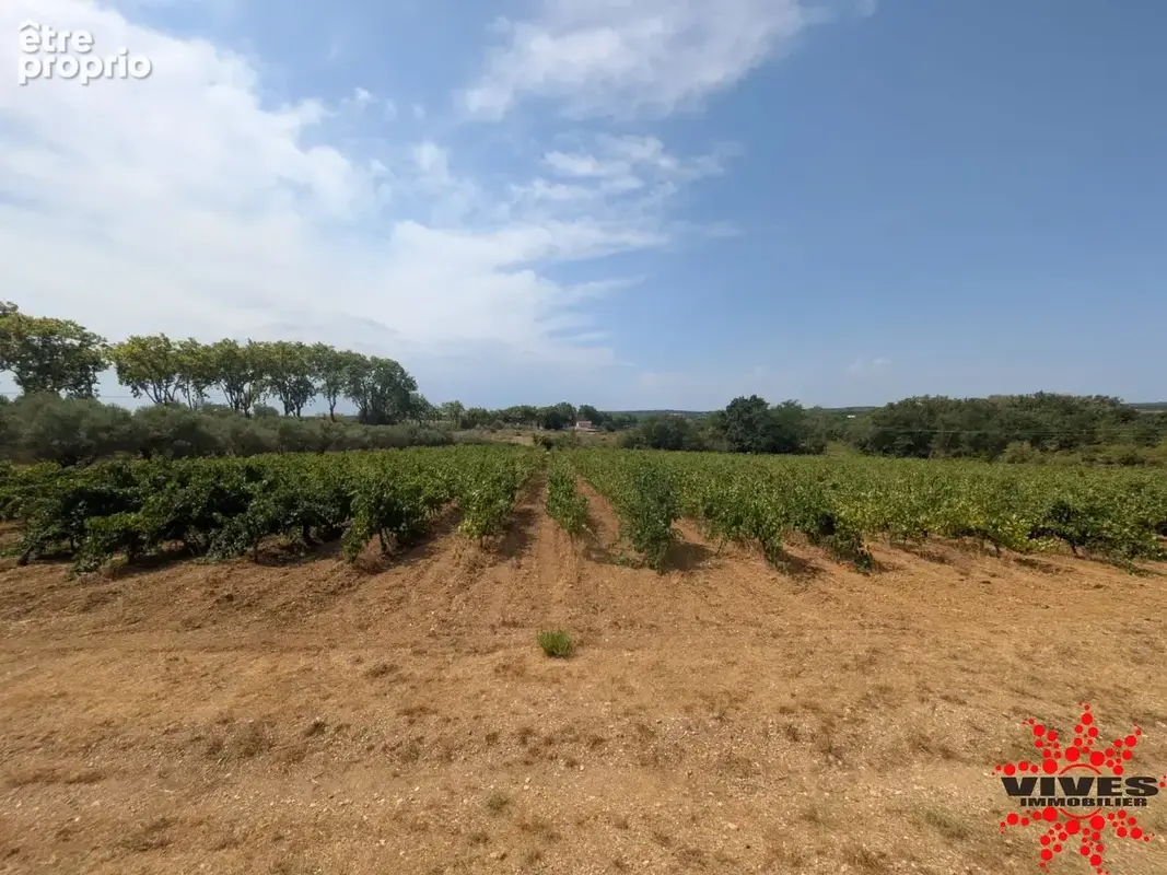 Domaine à vendre  espondeilhan - photo 19