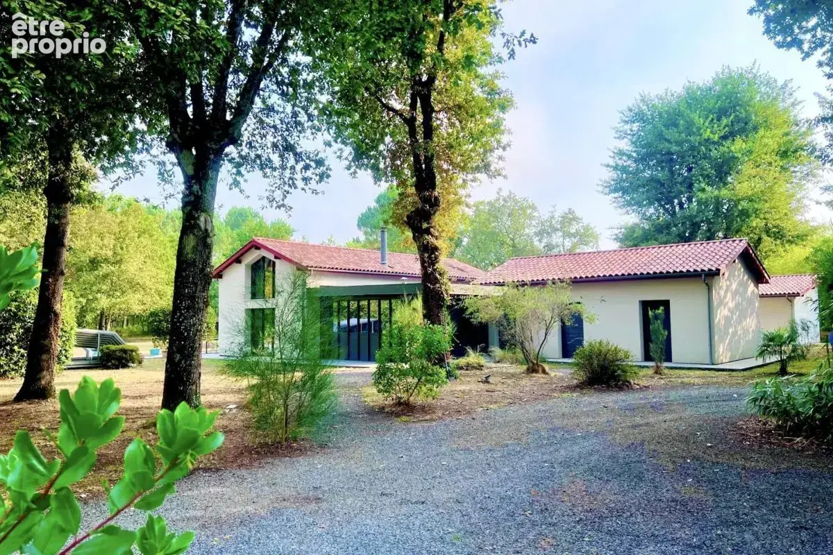 Sanguinet - maison 210 m² sur 1,3 ha - piscine • dépendance - photo 2
