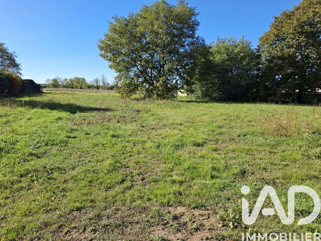 Terrain 1039 m² à Bressols  - photo 2