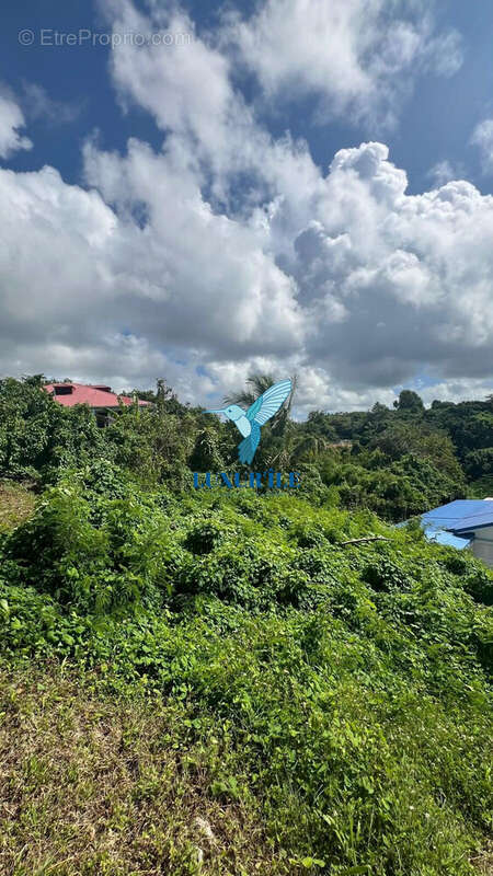 Terrain à LE GOSIER