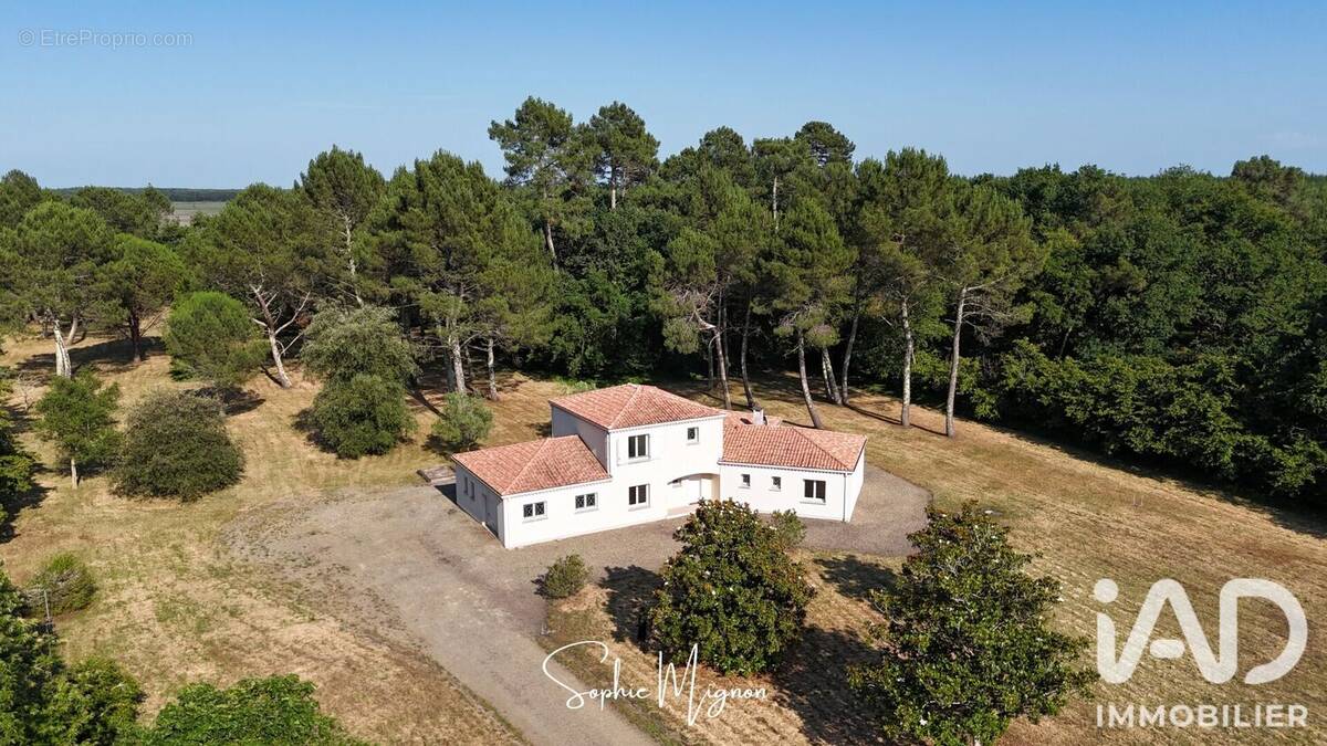 Photo 1 - Maison à LIPOSTHEY