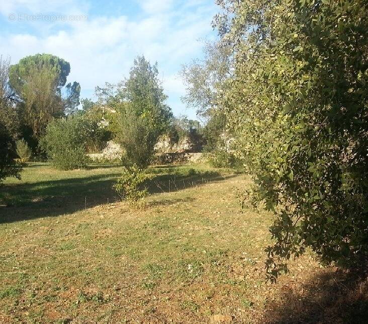 Terrain à LA SEYNE-SUR-MER