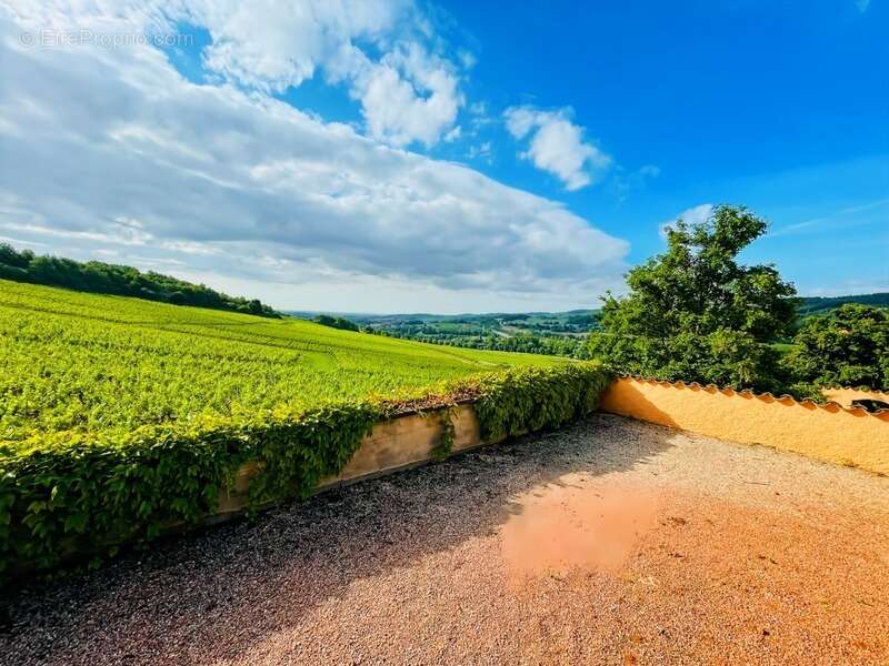 Maison à LA ROCHE-VINEUSE