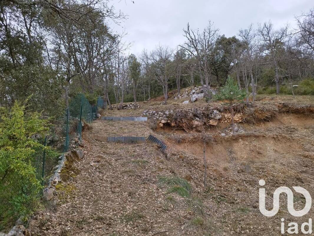 Photo 1 - Terrain à QUINSON