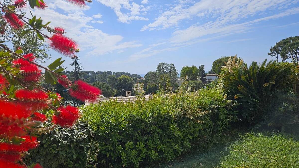 Appartement à VILLENEUVE-LOUBET
