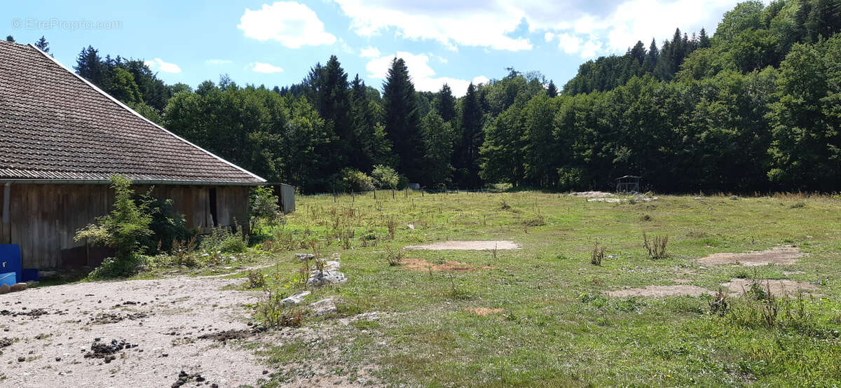 Terrain à GERARDMER