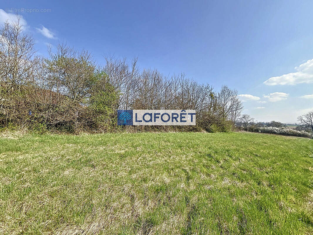 Terrain à VOILLECOMTE