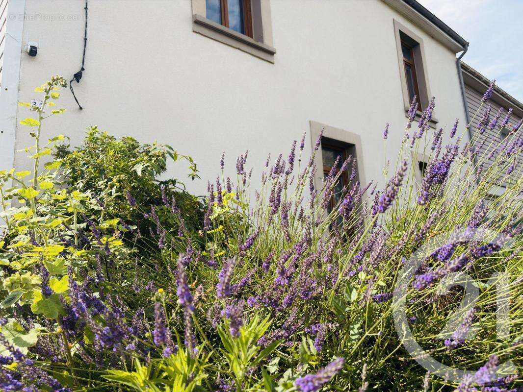 Maison 121 m² à Nesles  - photo 13