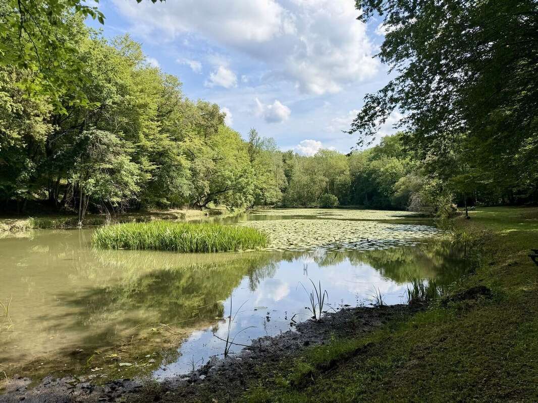 Propriété de caractère ade 20 hectares avec maison principale, maison d'amis, piscine, étang et cadre naturel - photo 3