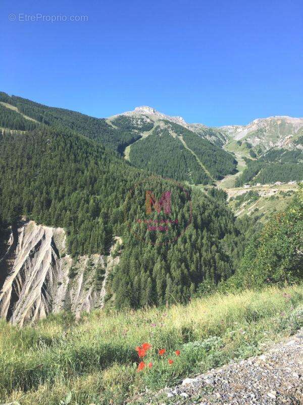 Appartement à SAINT-ETIENNE-DE-TINEE