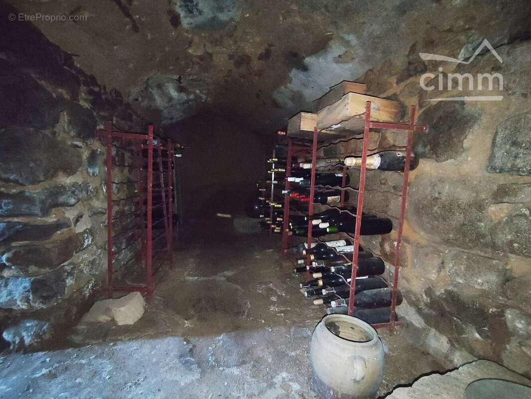 Authentique propriété de caractère avec gîte et 1,2 hectare de terrain à Cunlhat - photo 14