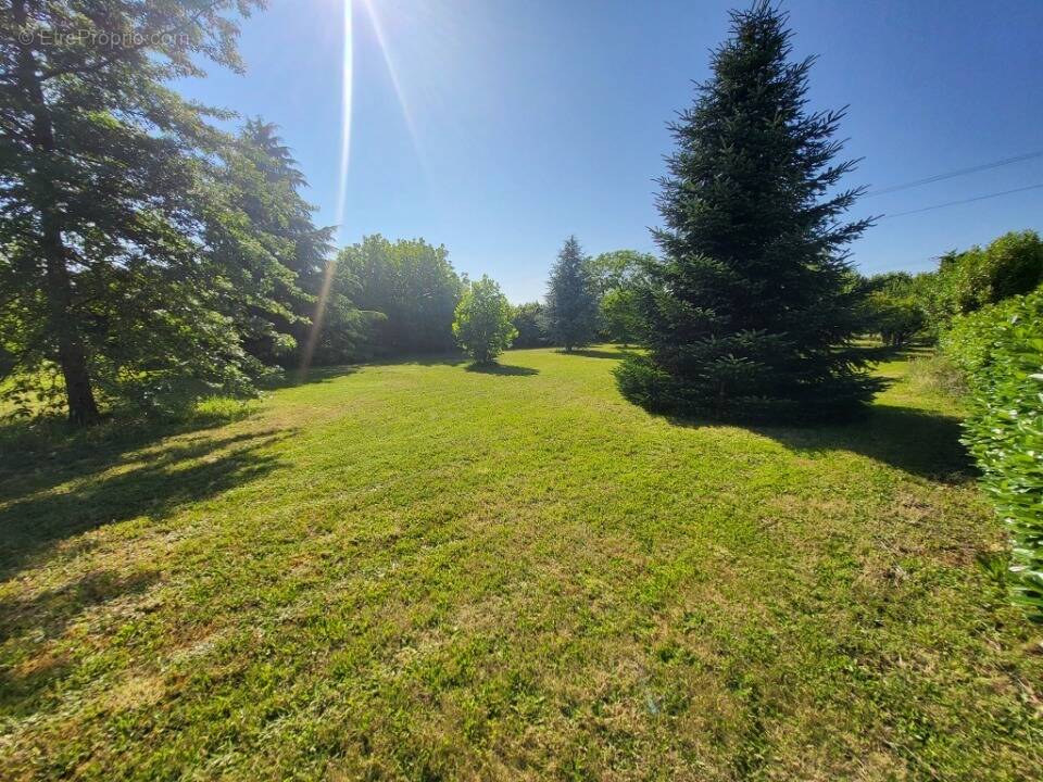 Terrain à COURS-DE-PILE