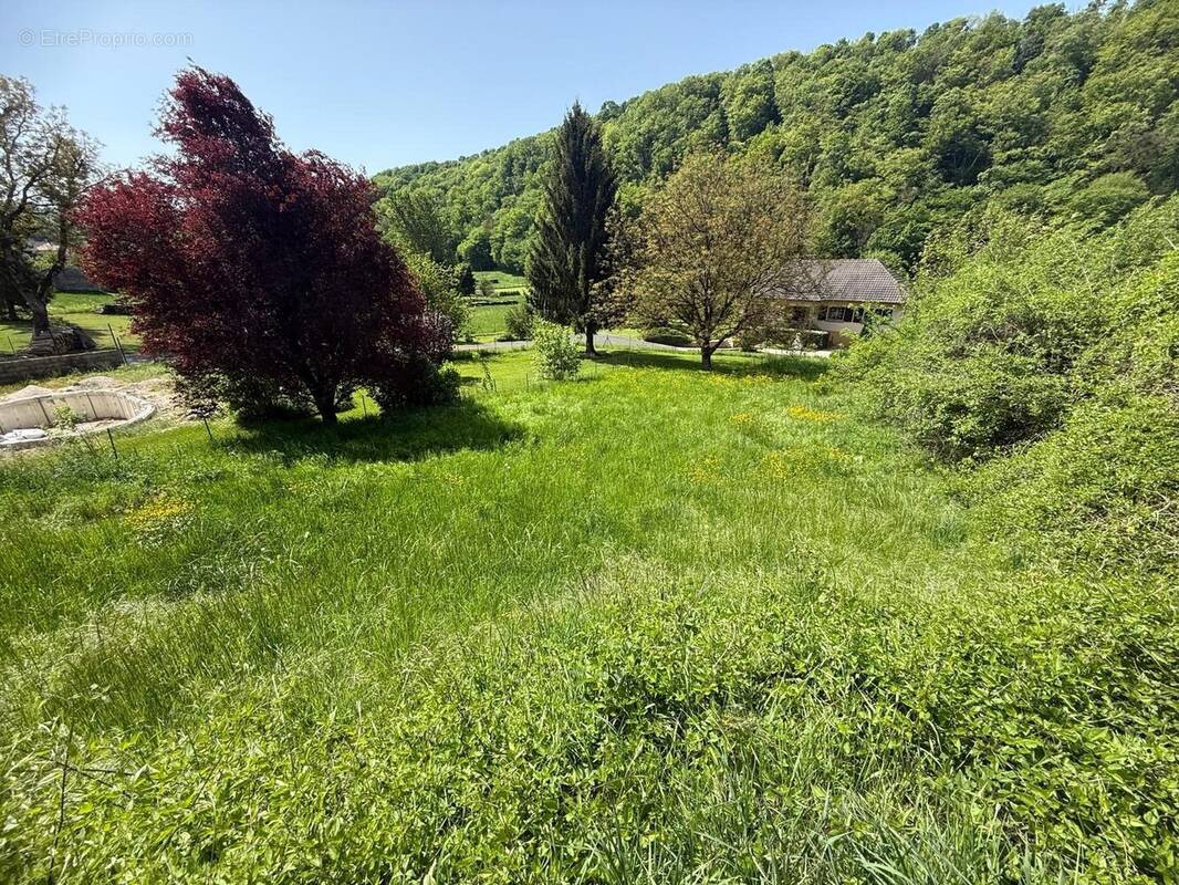 Terrain à VILLARS-SOUS-ECOT