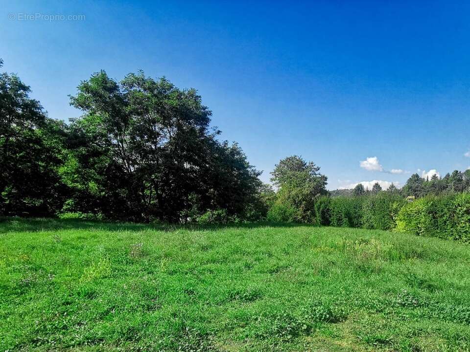 Terrain à RIANS