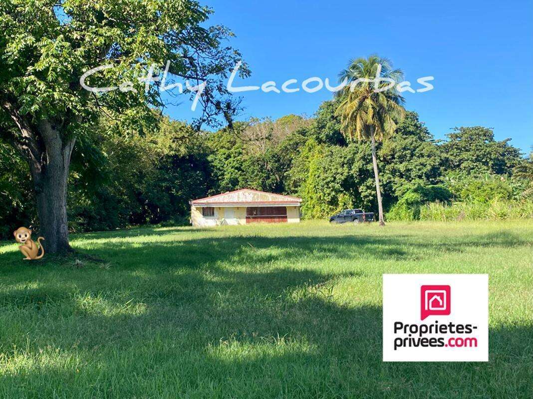 Terrain à POINTE-NOIRE