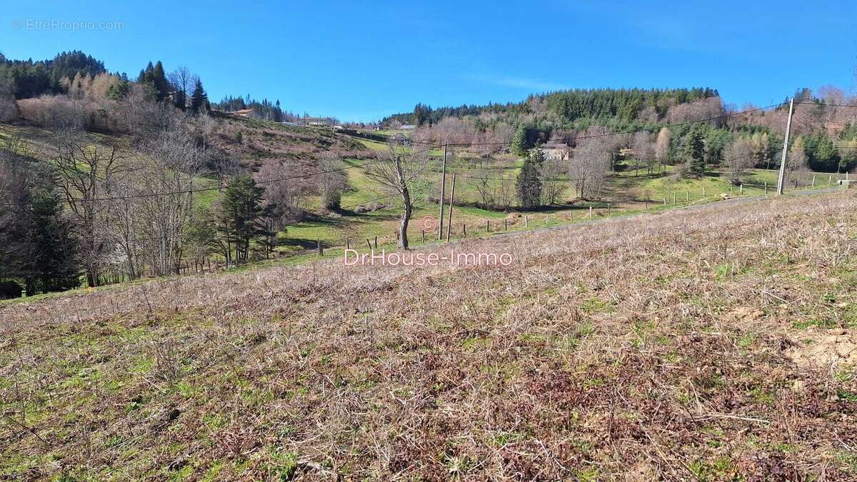 Terrain à AMBERT