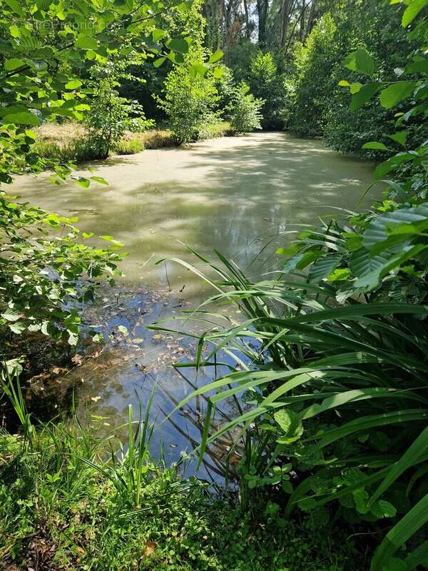 Terrain à PARGNY-FILAIN