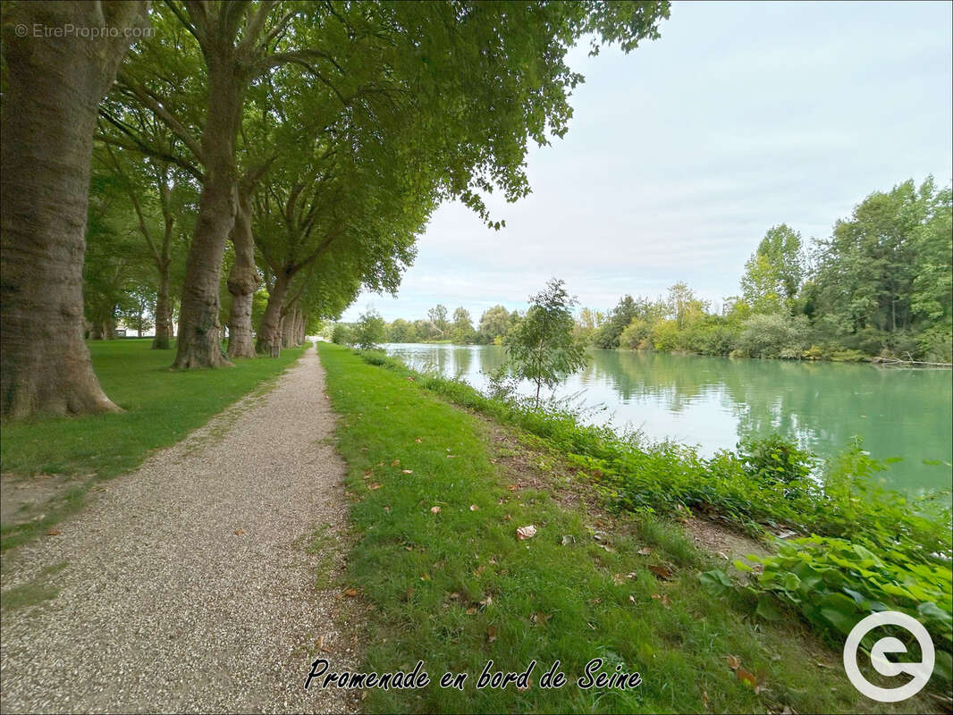 Maison à BRAY-SUR-SEINE