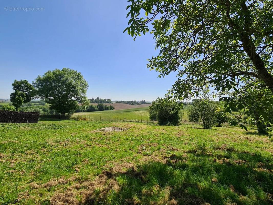 Terrain à MONTASTRUC-LA-CONSEILLERE